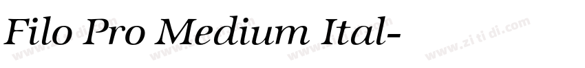 Filo Pro Medium Ital字体转换